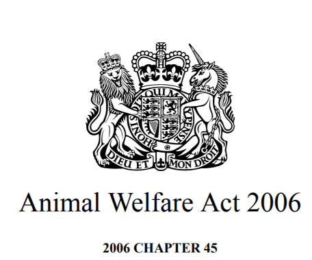 Animal welfare act